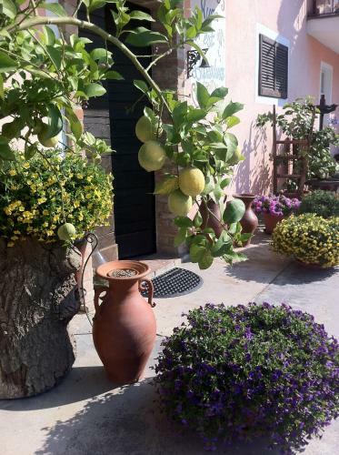 Agroturismo Cascina Sciulun