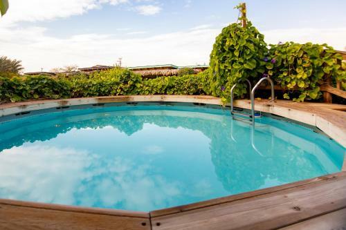 Rotem`s Guest House