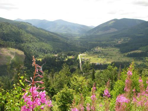 Hotel Medved