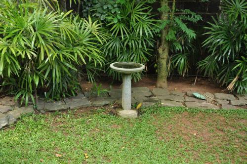 Bed & Breakfast Bangalawa