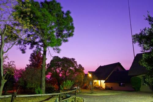 Pine Tree Lodge