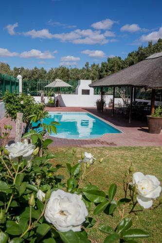 Agroturismo Olive Grove Guest Farm