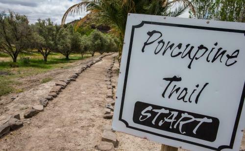 Agroturismo Olive Grove Guest Farm
