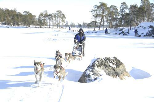 Hostal Guesthouse Husky