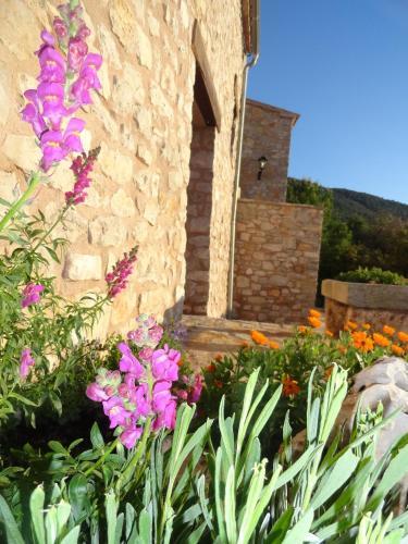 Agroturismo Castell D�orp�