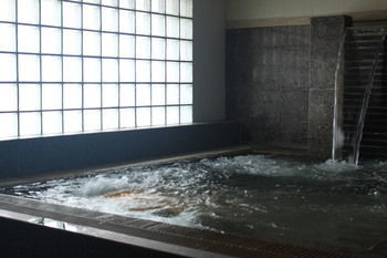 Hotel Ebina House