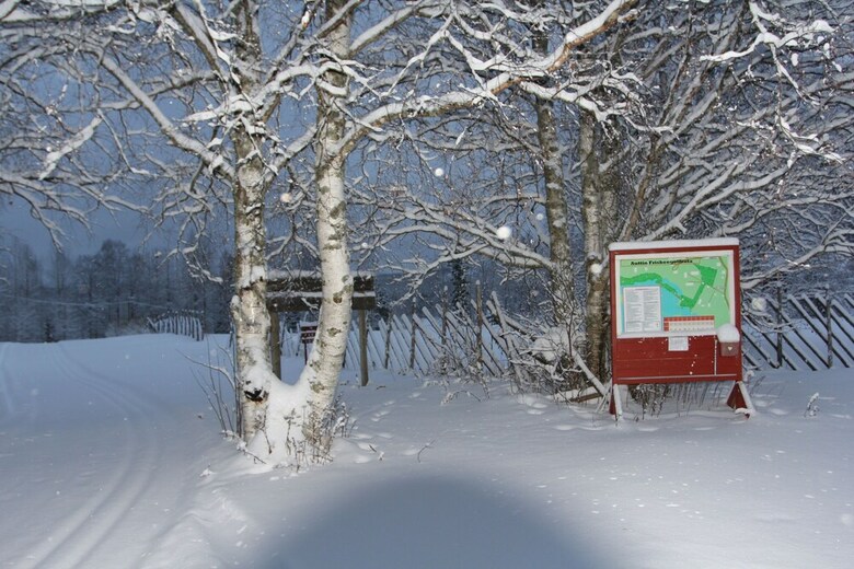 Bed & Breakfast Wanha Autti Camping
