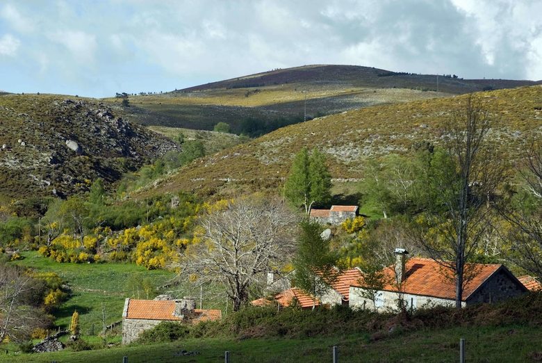 Branda Da Aveleira