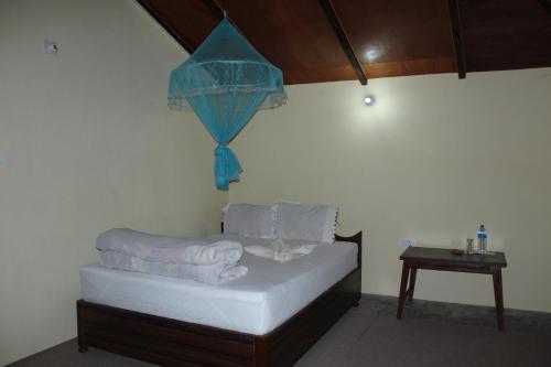 Nature Safari Lodge