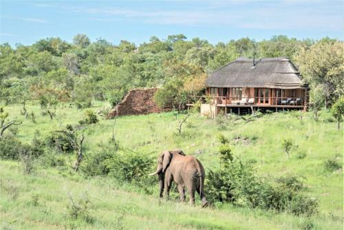 Royal Madikwe Luxury Safari Lodge