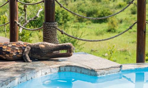 Royal Madikwe Luxury Safari Lodge