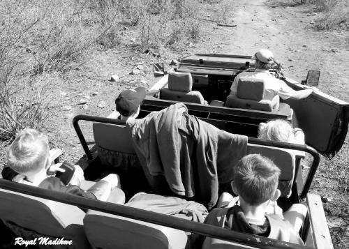 Royal Madikwe Luxury Safari Lodge