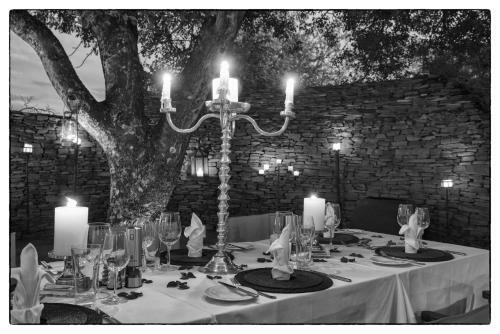 Royal Madikwe Luxury Safari Lodge
