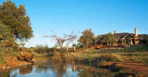 Royal Madikwe Luxury Safari Lodge