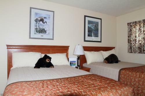 Hotel Lac Le Jeune Resort & Nature Centre