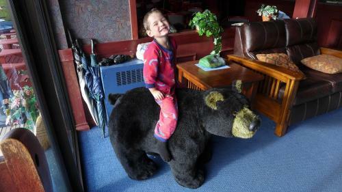 Hotel Lac Le Jeune Resort & Nature Centre