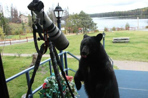 Hotel Lac Le Jeune Resort & Nature Centre