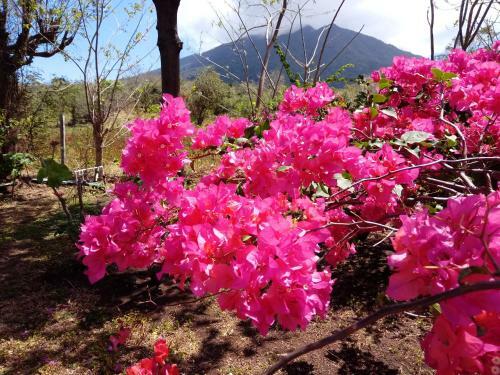 Bed & Breakfast Finca Montania Sagrada