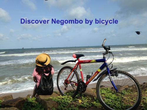 Bed & Breakfast Villa Taprobane