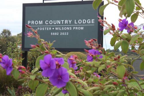 Motel Comfort Inn Foster