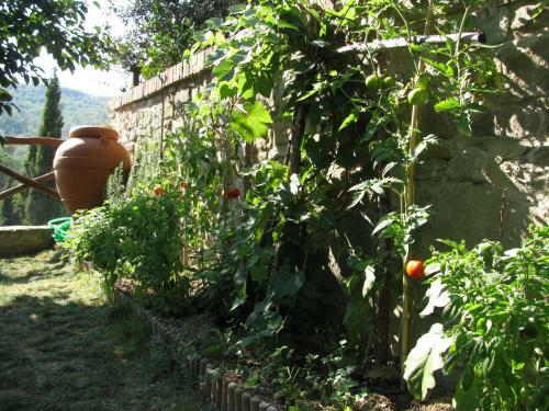 Agroturismo La Luna Nel Pozzo