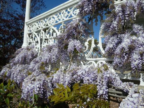 Hazel House Boutique Bed & Breakfast