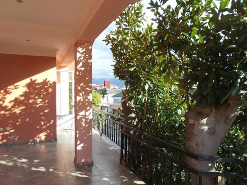 Hostal Magnolia