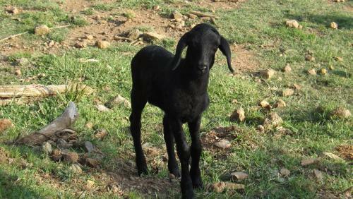 Agroturismo Recanto Dos Pioneiros