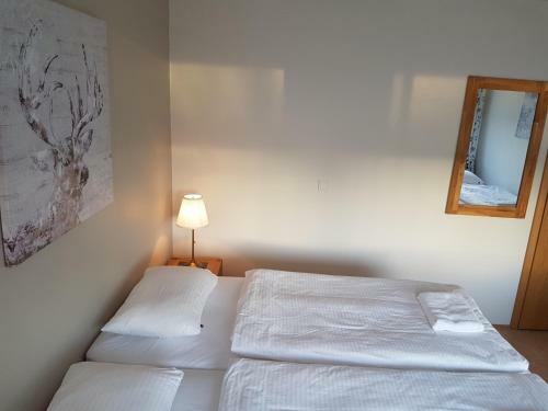Hostal Guesthouse Ormurinn