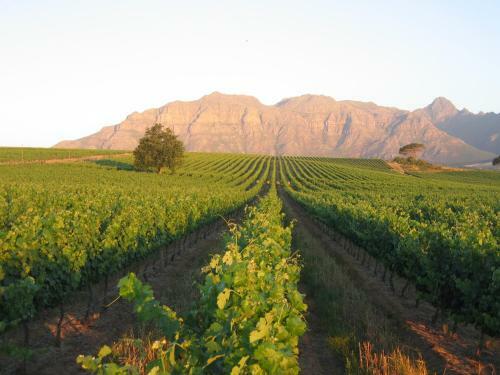 Hotel Three Cities Kleine Zalze Lodge