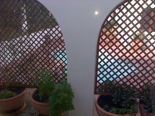 Hostal Pelagus House