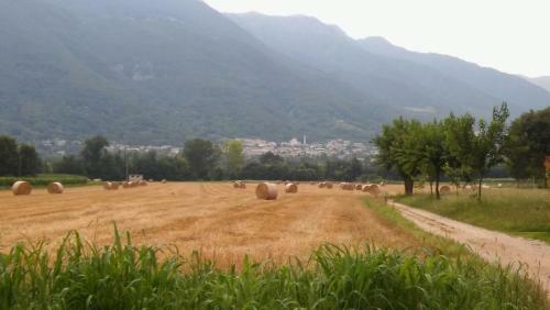 Agroturismo Country Club Da Cesco
