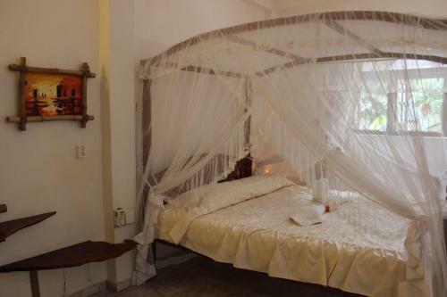 Hostal Palm Grove