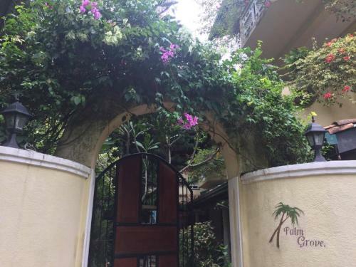 Hostal Palm Grove