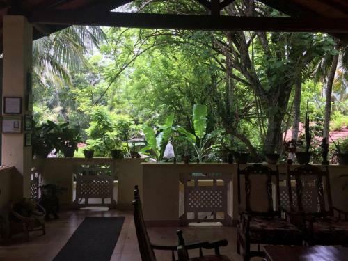 Hostal Palm Grove