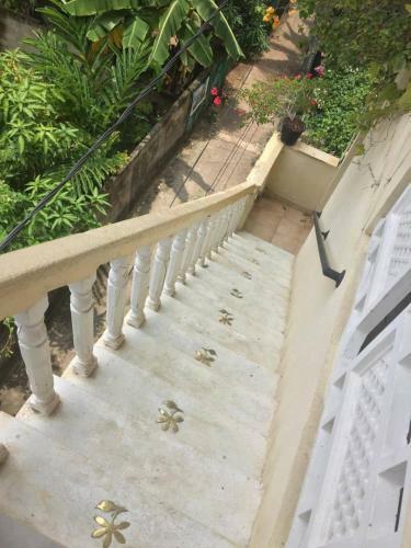 Hostal Palm Grove
