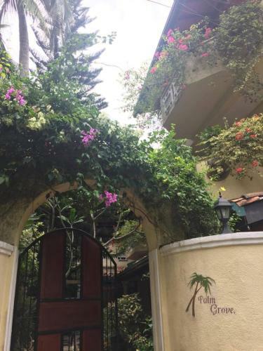 Hostal Palm Grove