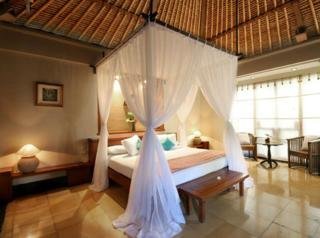 Hotel Alam Puri Art Museum Resort & Spa