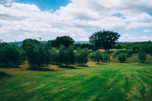 Bed & Breakfast Podere San Francesco