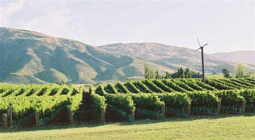 Agroturismo Pagan Vines Vineyard Accommodation