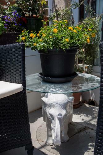 Apartamento Palazzo Valletta Suites