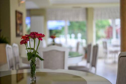 Hostal Guest House Fontana