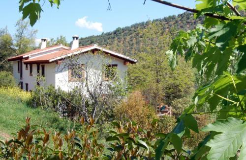 Agroturismo Cortijo La Besana
