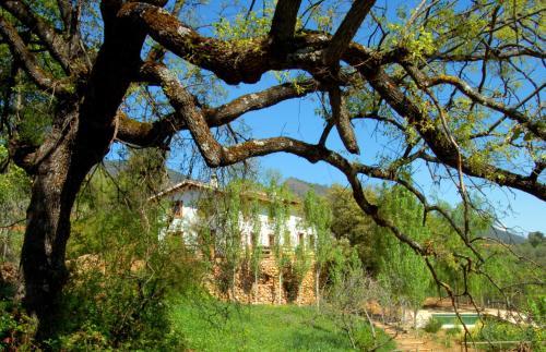 Agroturismo Cortijo La Besana