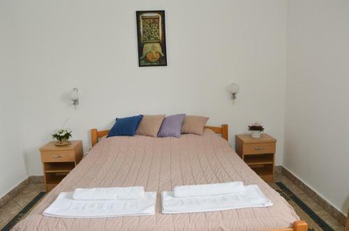 Hotel Andricev Konak