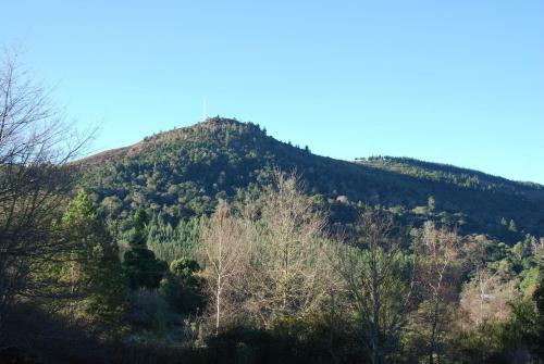 Laragh-on-hogsback