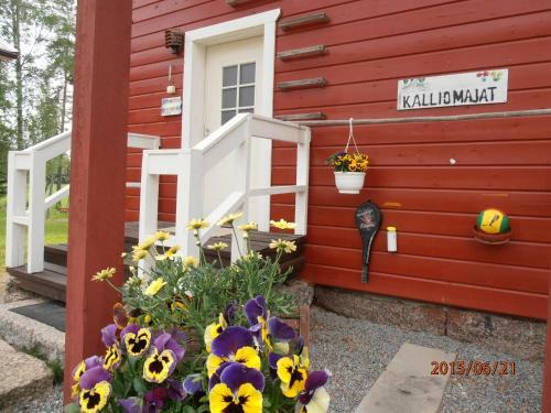Kalliomajat