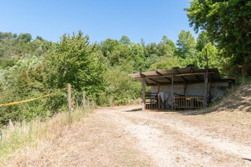 Agroturismo Quinta De Entre Sebes
