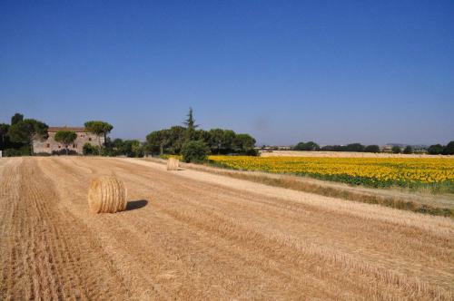 Agroturismo B&B Il Molinello