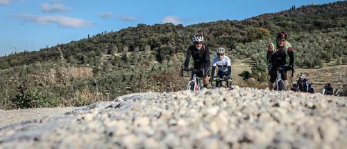 Agroturismo B&B Il Molinello